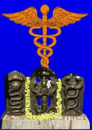 நோய் தீர்க்கும் சர்ப்பக்குறியீடு ரகசியம்!