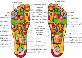 அக்குபஞ்சர்