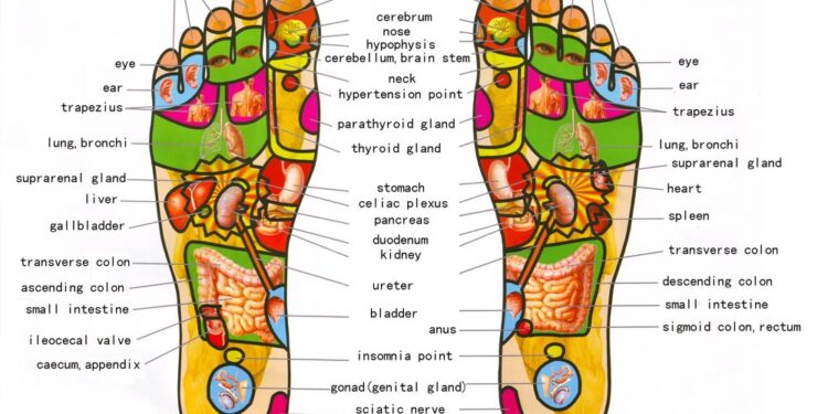 அக்குபஞ்சர்